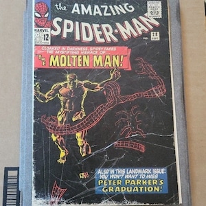 The Amazing Spider-Man #28