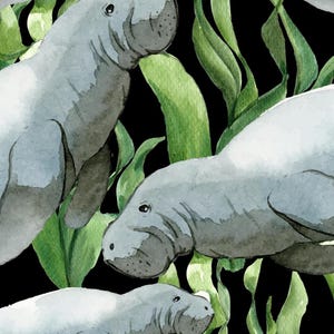 May include: Watercolour illustration of manatees swimming in a bed of green seaweed. The manatees are grey and have large, round bodies. The seaweed is a vibrant green and has a flowing, organic shape.