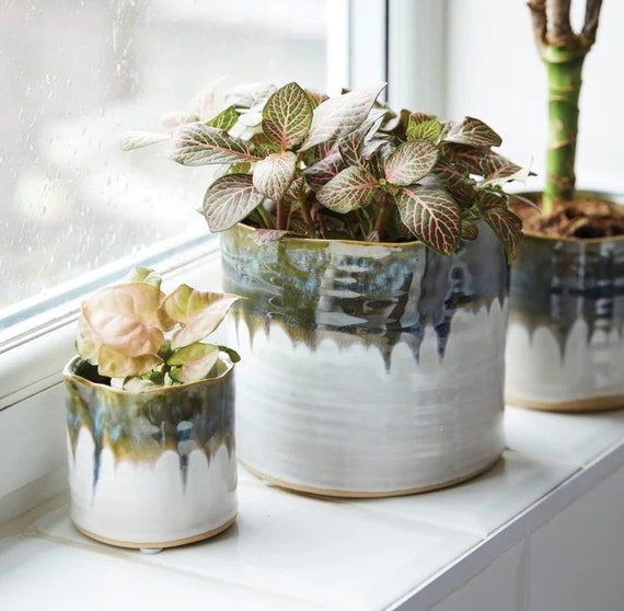 14cm sale plant pot
