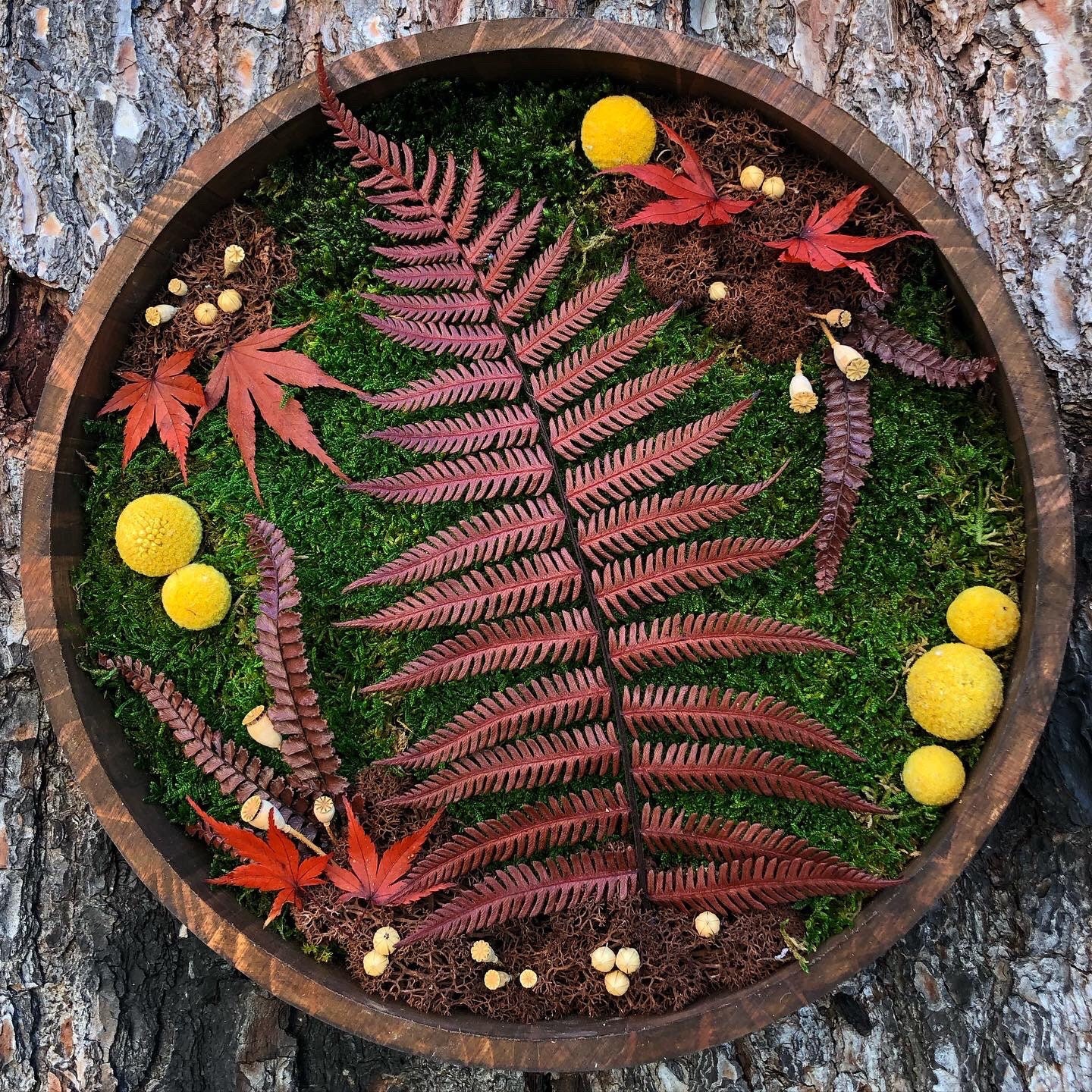 Tableau de Végétaux Stabilisés