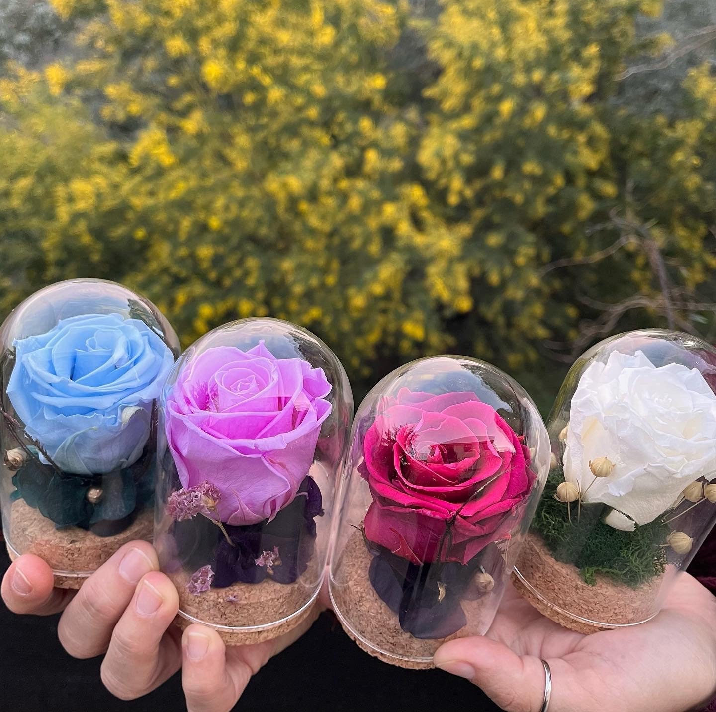 Petite Cloche en Verre avec Rose Éternelle