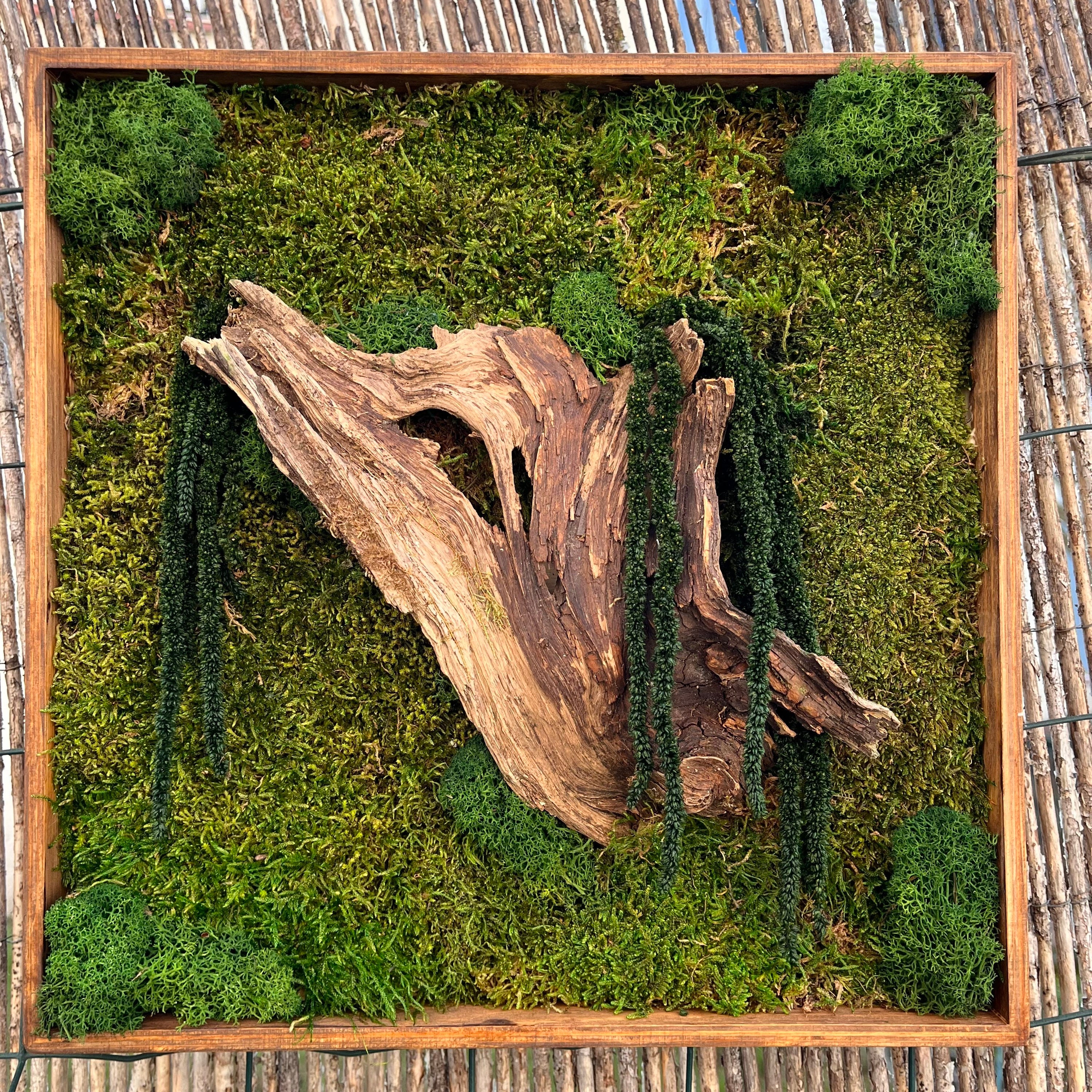 Cadre en Végétaux Stabilisés