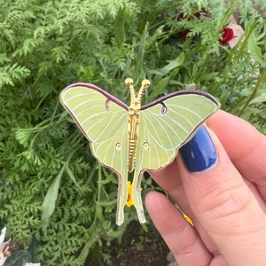 Handpainted Luna moth hair clip