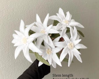 Felt edelweiss individual custom stem, build your own bouquet, get well flowers, sympathy, wedding, memorial, funeral, hypoallergenic