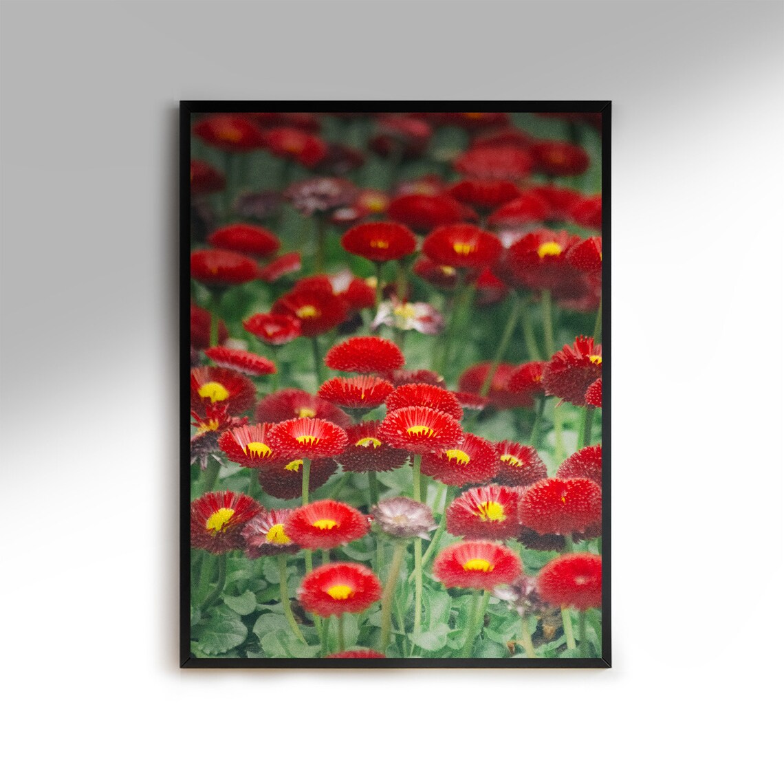 Flower Photography Wall Art Print Digital Download Unique Etsy Flower Photography Wall Art Print Digital Download Unique Etsy
