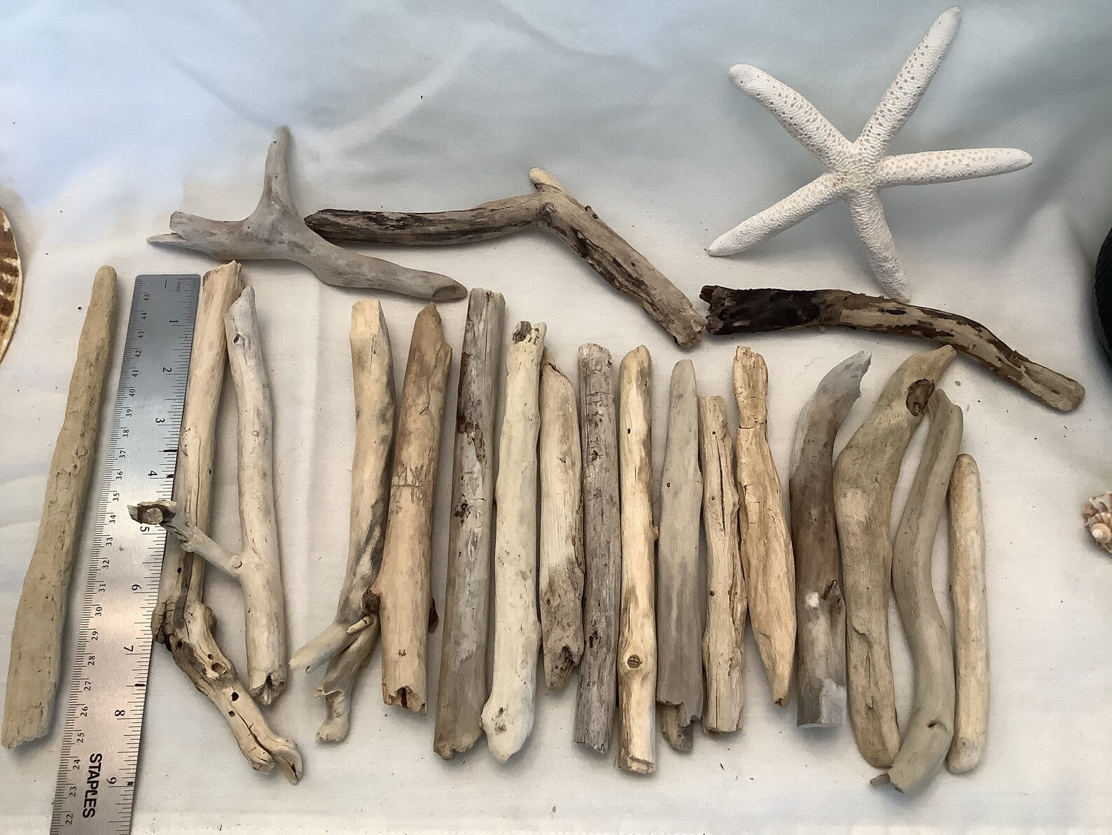 SALE 20 Assorted Driftwood Branches Etsy