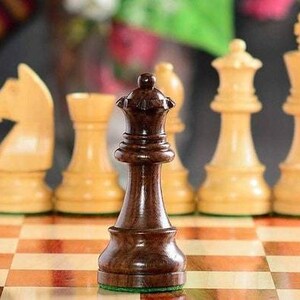 Op de afbeelding: Een close-up van een schaakspel op een schaakbord. De focus ligt op de donkerbruine koningin in de voorgrond, met andere ivoorkleurige stukken op de achtergrond. Het bord is bruin en beige.