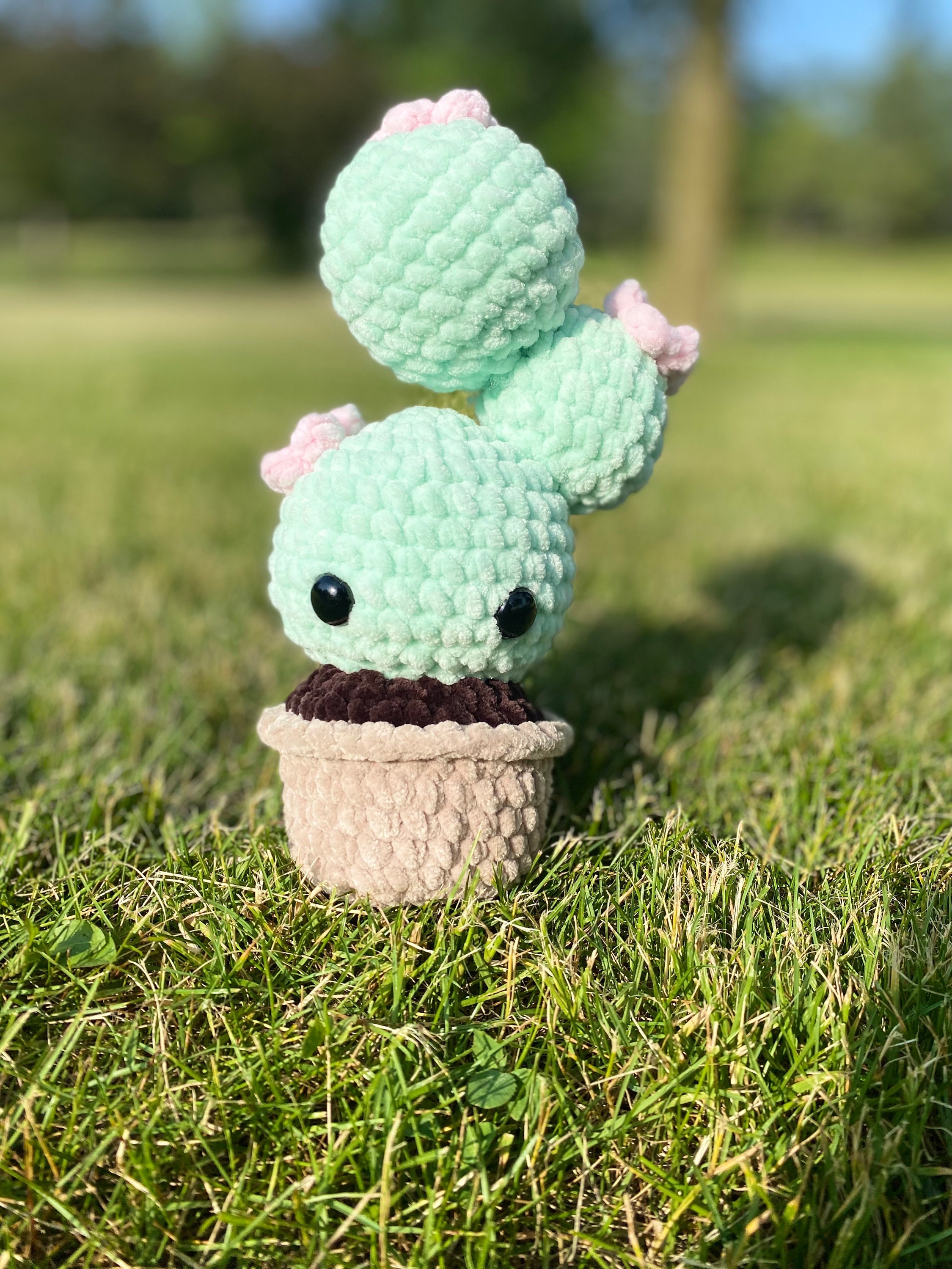 Cactus de peluche shop