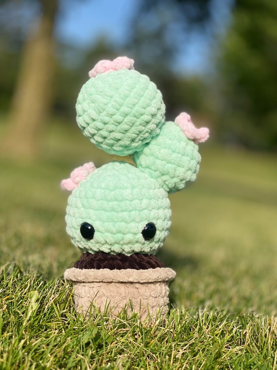 CACTUS PLANT Crochet Planter Amigurumi Cute Knit Pattern Cacti Plushie Kawaii Cactus Plush Green Aesthetic Decor Accent for Home Etsy