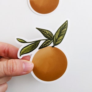 Orange Blossom Stickers, Illustration, CLEAR Stickers, Vinyl Stickers, For Water Bottles, Journals, Laptops