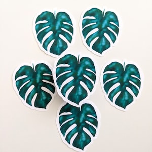 Adesivo de folha Monstera, adesivos para laptop, ideias para presentes, adesivos para plantas, adesivo Boho, adesivo de vinil para garrafas de água, diários