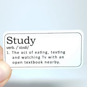 Aesthetic Meme Sticker "Study" - Funny Sticker for Students