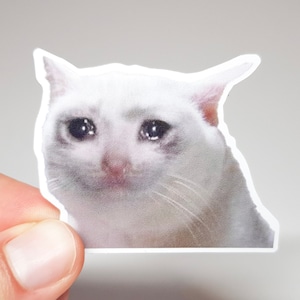 Pegatina Meme "Gato Llorando" - Pegatina divertida con el gato más triste - Pegatina de ansiedad - Pegatina de animal - Pegatina de botella de agua