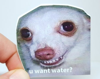 Meme Sticker "U Want Water?" - Funny Chihuahua Sticker for Dog Lovers and True Internet Experts