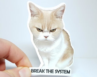 Meme Sticker "Cat – Break The System" - The Wildly Funny Anarchist Sticker