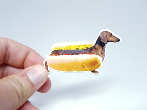 Meme Sticker Dackel Hot Dog Lustiger Hund Aufkleber für Tierliebhaber und  Alle Dachshund Besitzer Perfekt für Deinen Laptop -  Österreich