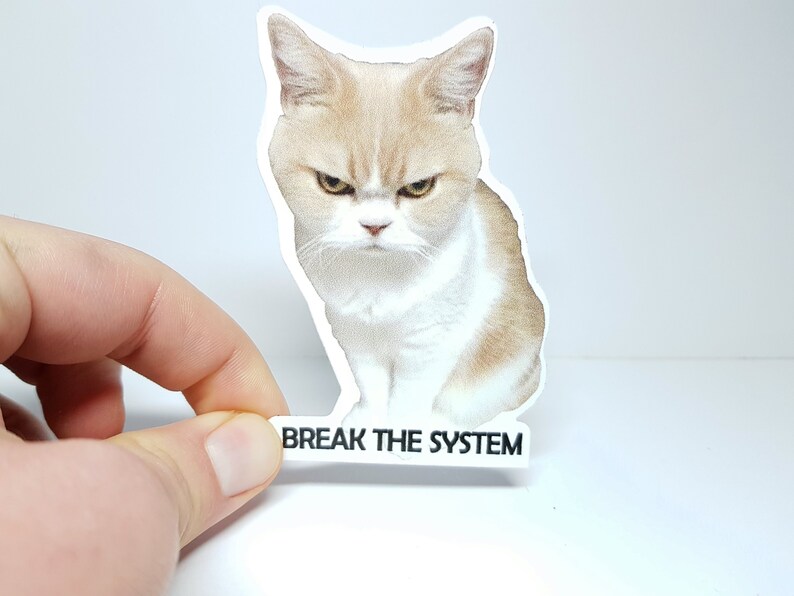 Meme Sticker 