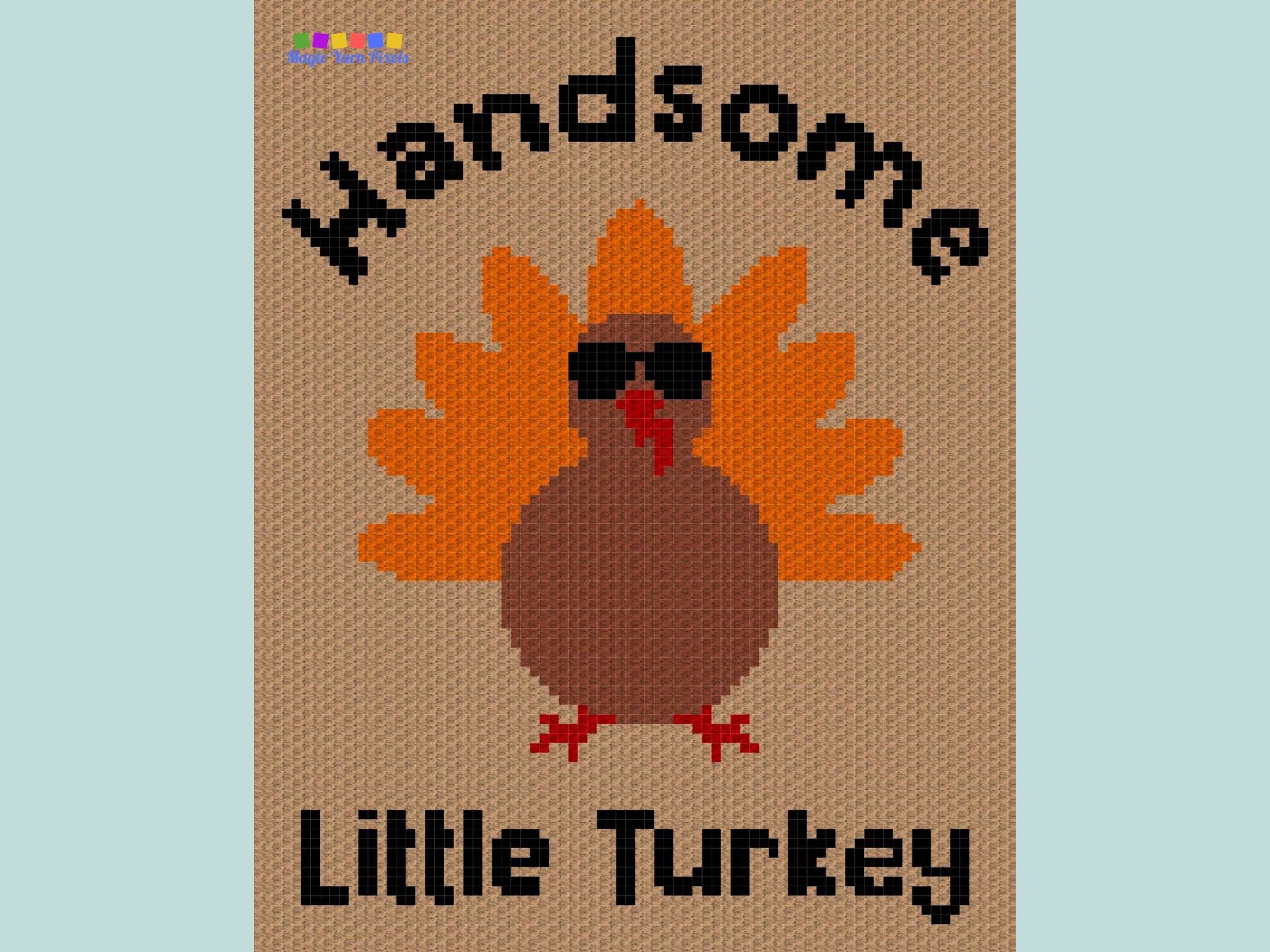 handsome-little-turkey-graph-written-pattern-for-c2c-etsy