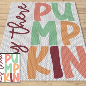 Pumpkin Patch Hand Crochet Blanket. 78x82