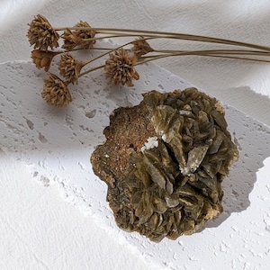 May include: A large, green, and brown selenite crystal cluster with a rough, textured surface. The crystal is arranged in a rosette shape with many layers.