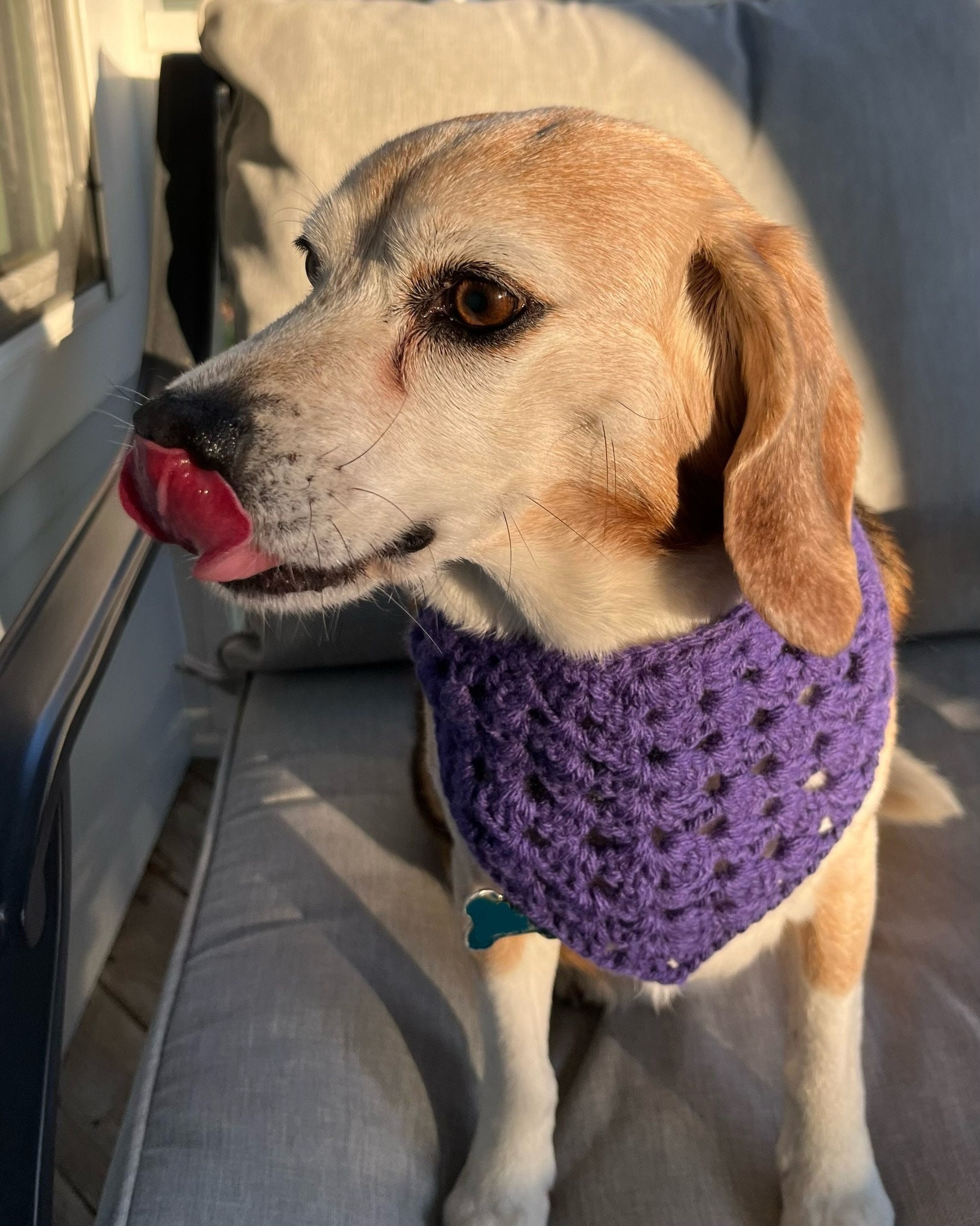 crochet bow tie for dogs