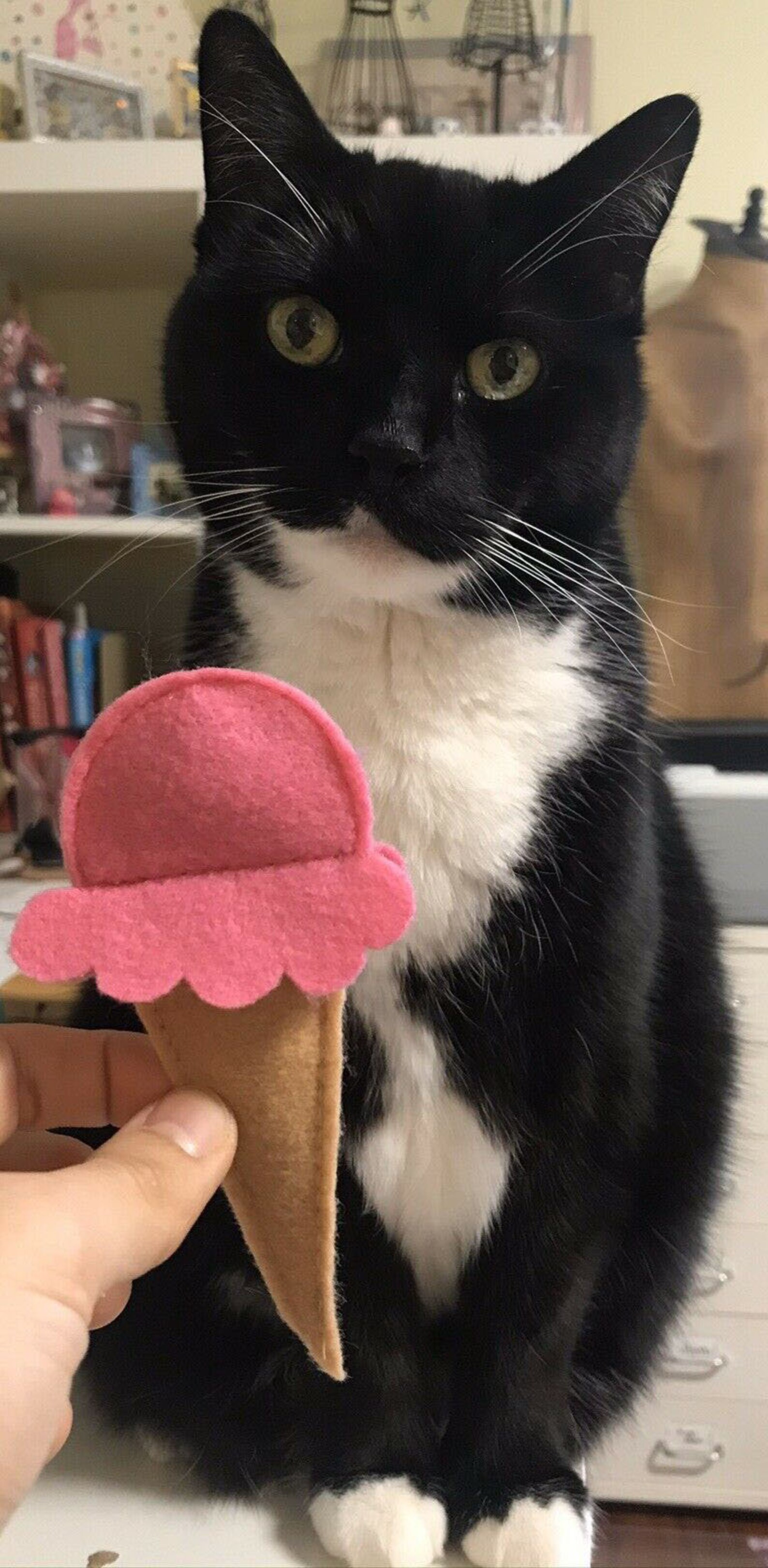 Handmade Handmade cat toy Cat toy Cone toy Ice cream Etsy