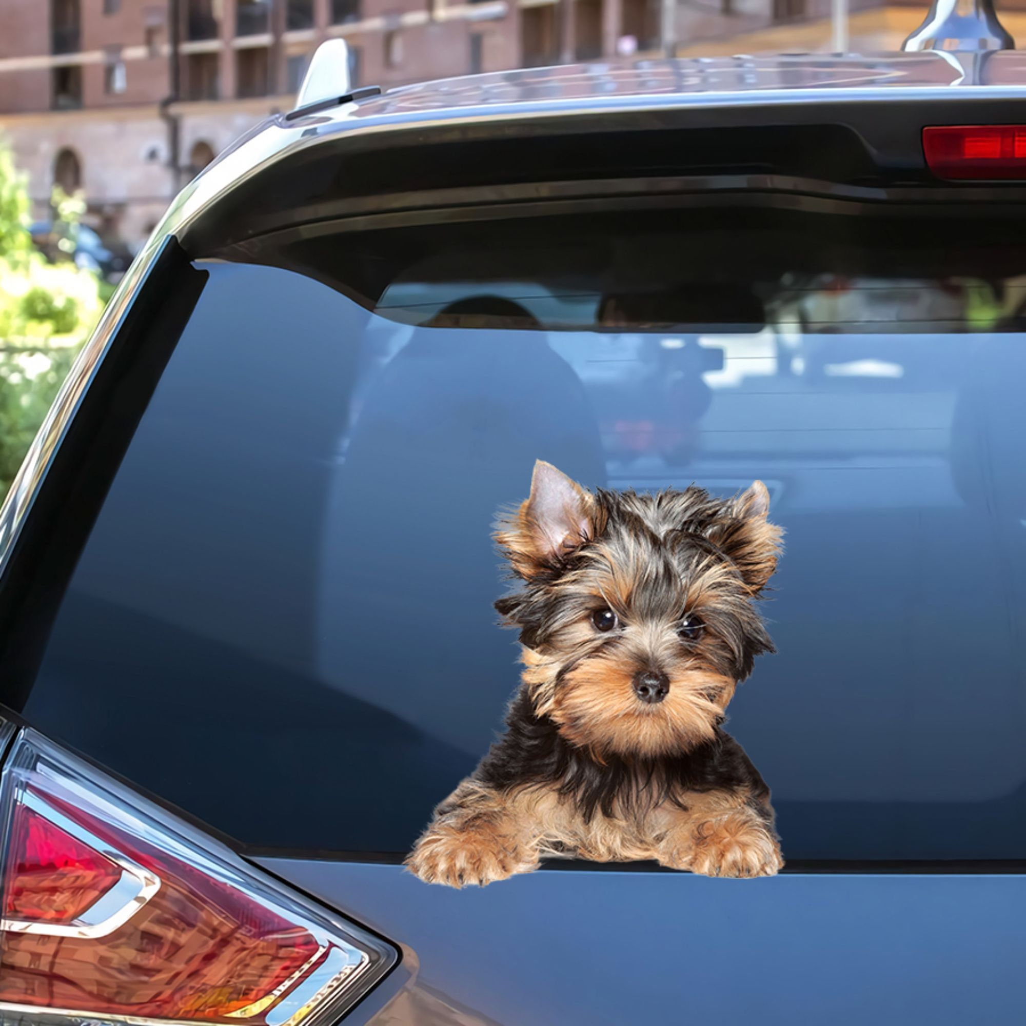 Yorkshire Terrier Puppy Sticker Yorkie Decal Sticker For Car Etsy