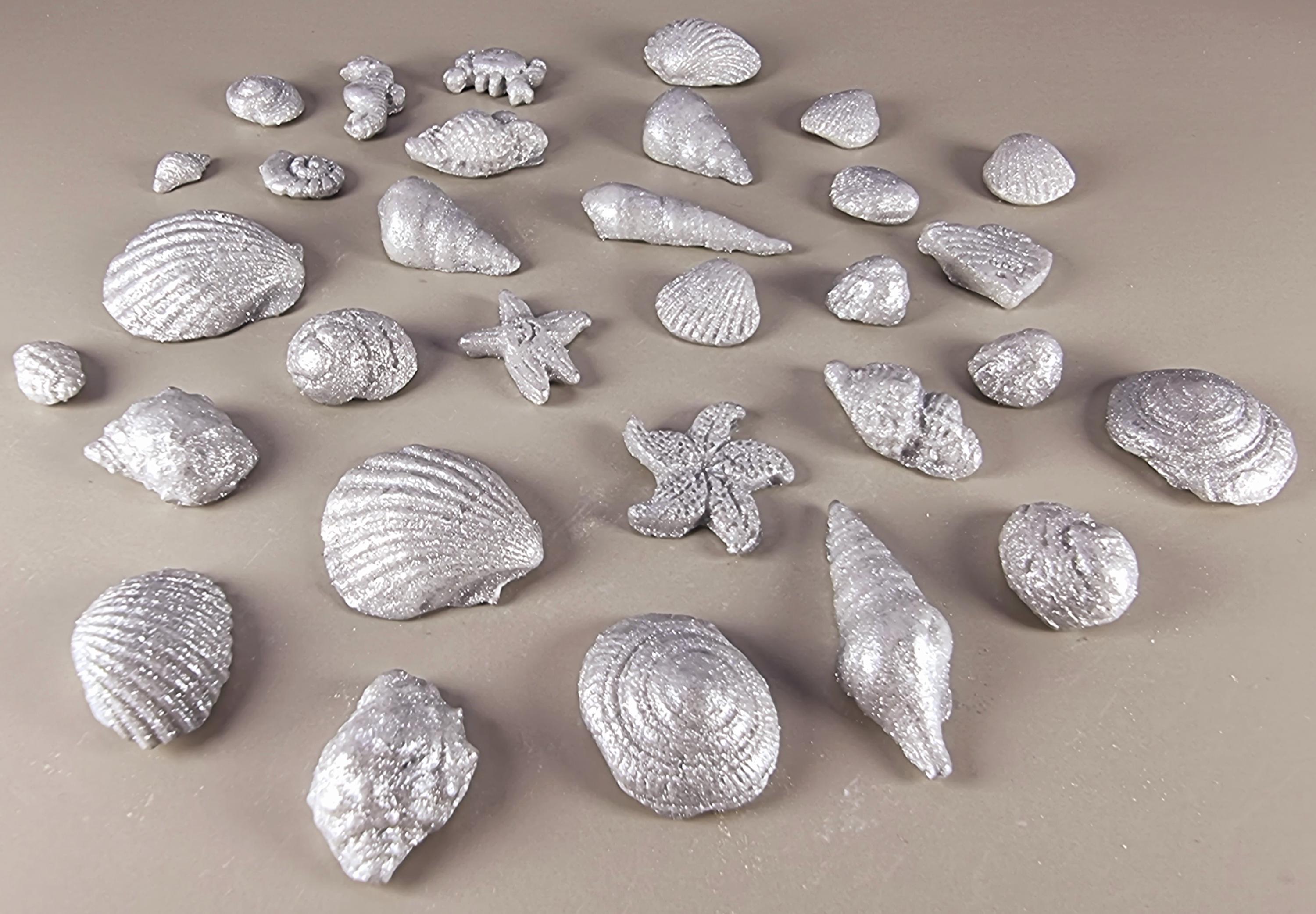 30 X Edible 3D Seashells Shells Shells Icing Toppers, Cake Cupcakes ...