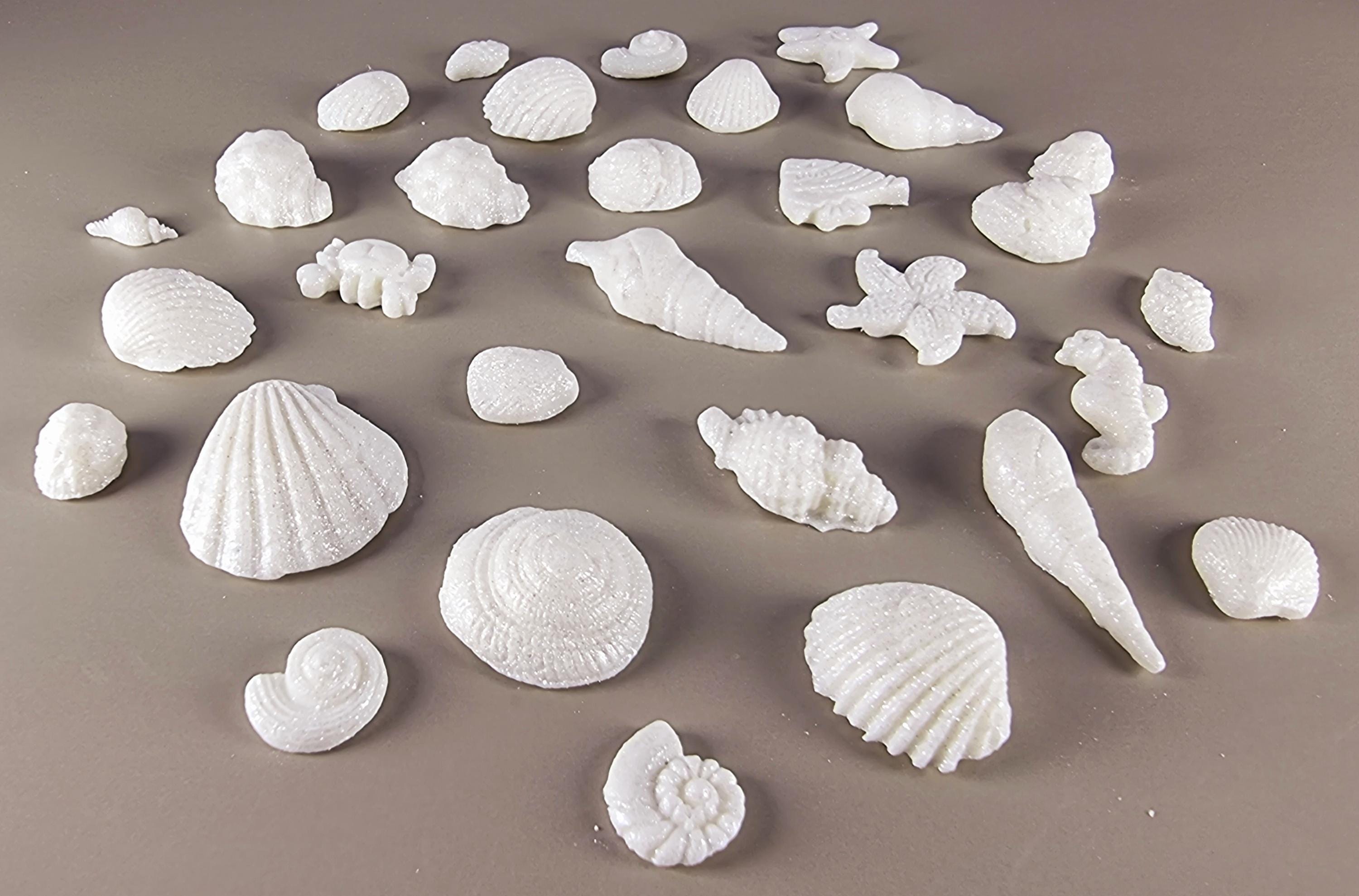 30 X Edible 3D Seashells Shells Shells Icing Toppers, Cake Cupcakes ...