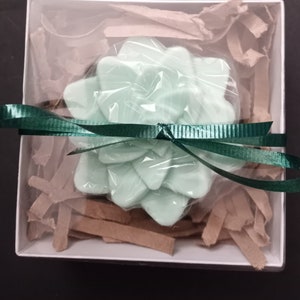 Succulent Shaped Soap, Lush Succulent Scent