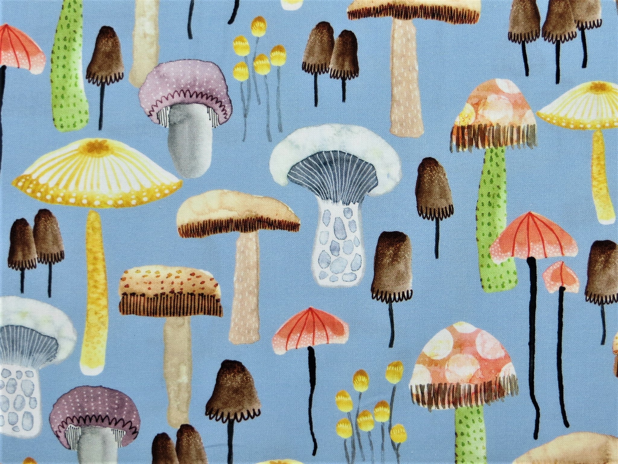 Mellow Mushrooms 100 Cotton Fabric by Michael Miller Etsy UK