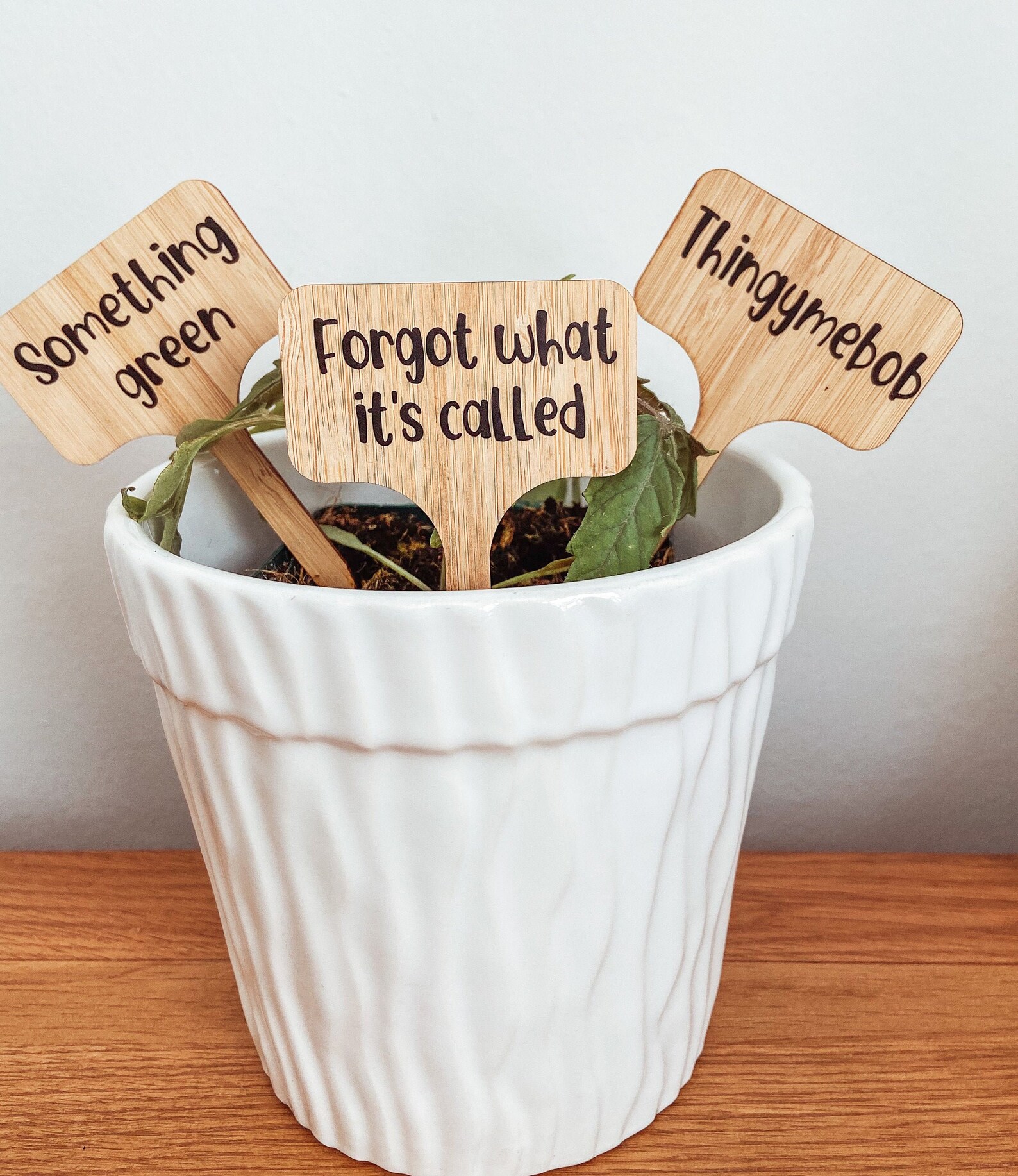 Funny plant markers rude labels funny plant labels adult Etsy