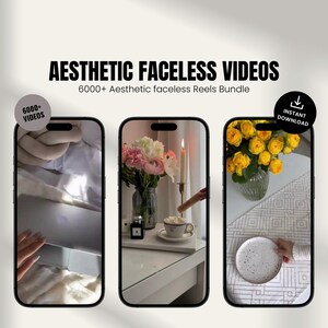 6000+ Aesthetic Faceless Video Reels | DFY Instagram Marketing Videos with PLR MRR Resell Rights