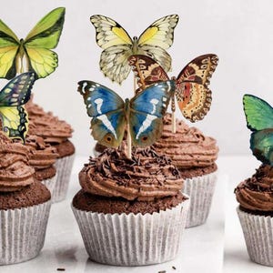 Butterfly Cupcake Toppers: Woodland Party Picks, Set of 12