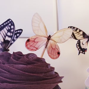Butterfly Cupcake Toppers: Spring & Summer Party Picks, Set of 12