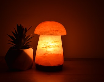 Himalayan Salt Lamp Natural Hand Crafted Crystal Rock Salt Lamp Vass Shape 2-3Kg Mothers Day Gift