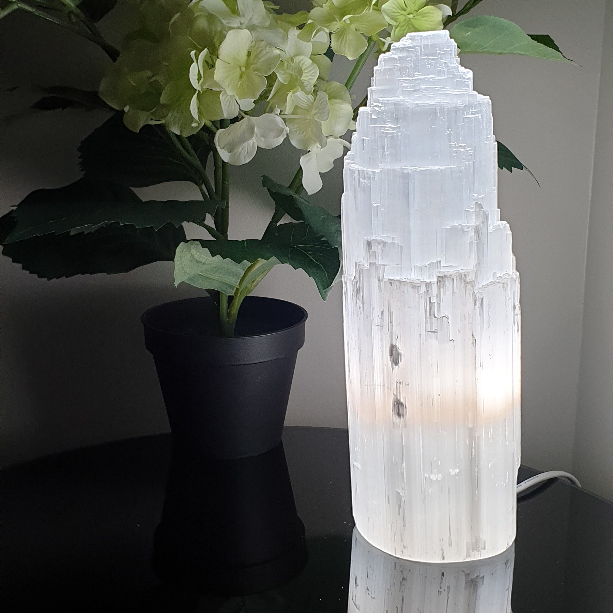 Crystal on sale selenite lamp