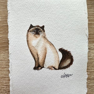 Gato / Arte mural original pintado a mano en acuarela / Gato del Himalaya