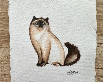 Cat | Original Hand Painted Watercolour wall art | Himalayan Cat