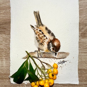 Pássaro | Aquarela original pintada à mão | Feito à mão | Cartão de Natal | Amante dos animais, feito à mão, aquarela | saudação de temporadas | Robin