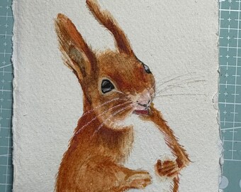Squirrel | Original Hand Painted Watercolour wall art | Handmade | Red Squirrel