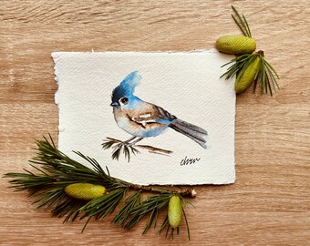 Hand-Painted Bird Watercolor Card | Christmas Greetings