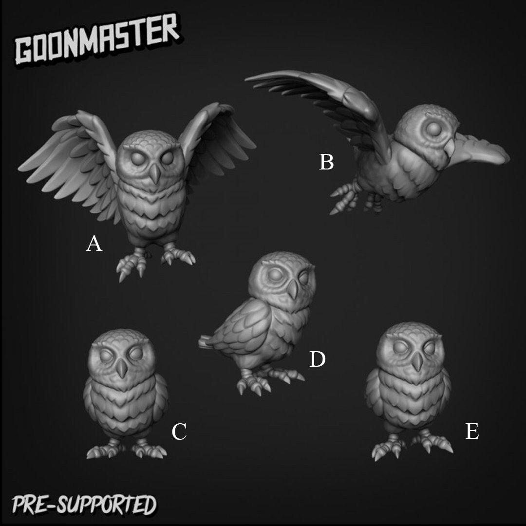 Compañero Búho (5 poses) - Goon Master / Miniatura SIN PINTAR en resina