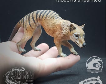 Thylacine (Tasmanian Tiger, Thylacinus cynocephalus) | Hellbender Museum | UNPAINTED Miniature in Resin
