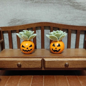 May include: Miniature Halloween decor featuring two orange pumpkin-shaped planters with carved jack-o'-lantern faces, each topped with a green succulent. They sit on a small wooden bench. A crate of vegetables and a white pumpkin are also present.