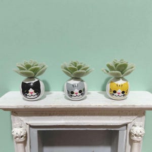 May include: Three small, white, round planters with cat faces, each holding a green succulent. The cat faces are black and white, gray and white, and yellow and white. The planters sit on a white shelf against a light green background.