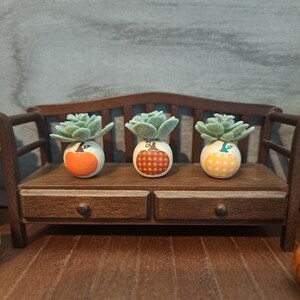 May include: Three miniature potted succulents in pumpkin-shaped planters. The planters are decorated with a plaid pattern in orange, brown, and white. The succulents are green and are arranged on a wooden bench.
