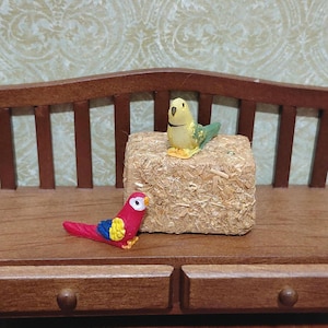Parrot or Parakeet Bird - 1:12 Scale Dollhouse Miniature