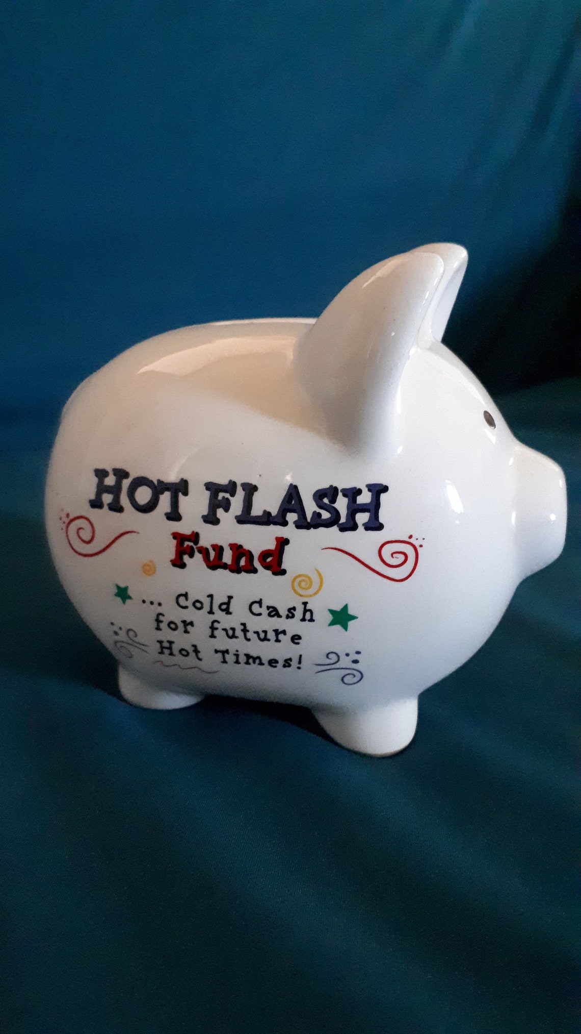 Funny Piggy Bank Etsy