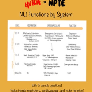 May include: A chart comparing the neurological functions of different spinal cord levels. The chart is divided into three columns: level, respiration, and cardiovascular. The chart shows the different functions that are affected at each level of the spinal cord. The chart also includes a column for motor function, which shows the different types of movement that are possible at each level.